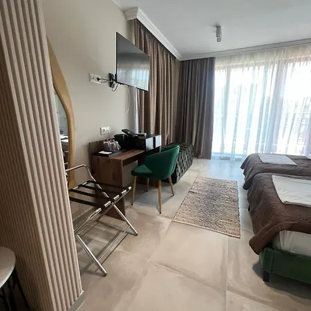 Hotel Central فندق
